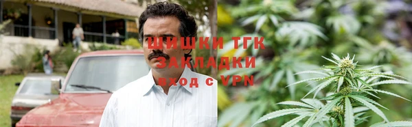 PSILOCYBIN Ельня