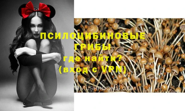прущая мука Абаза