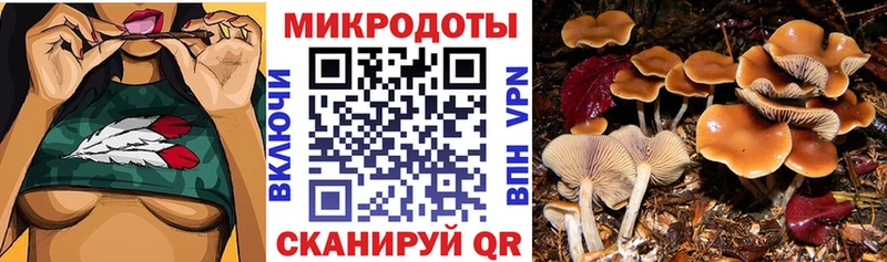 Галлюциногенные грибы Cubensis  где найти наркотики  omg рабочий сайт  Талица 